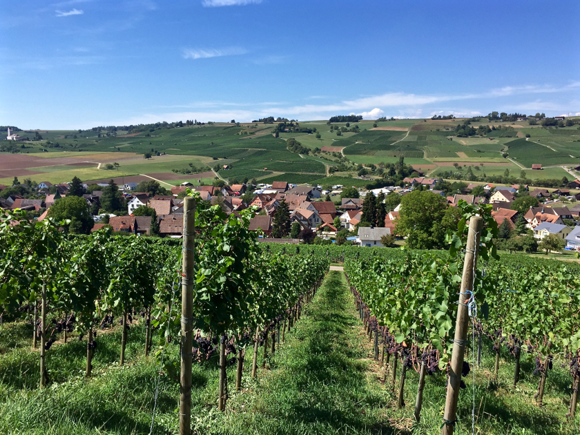 30. August 2015 Bergrennen Oberhallau