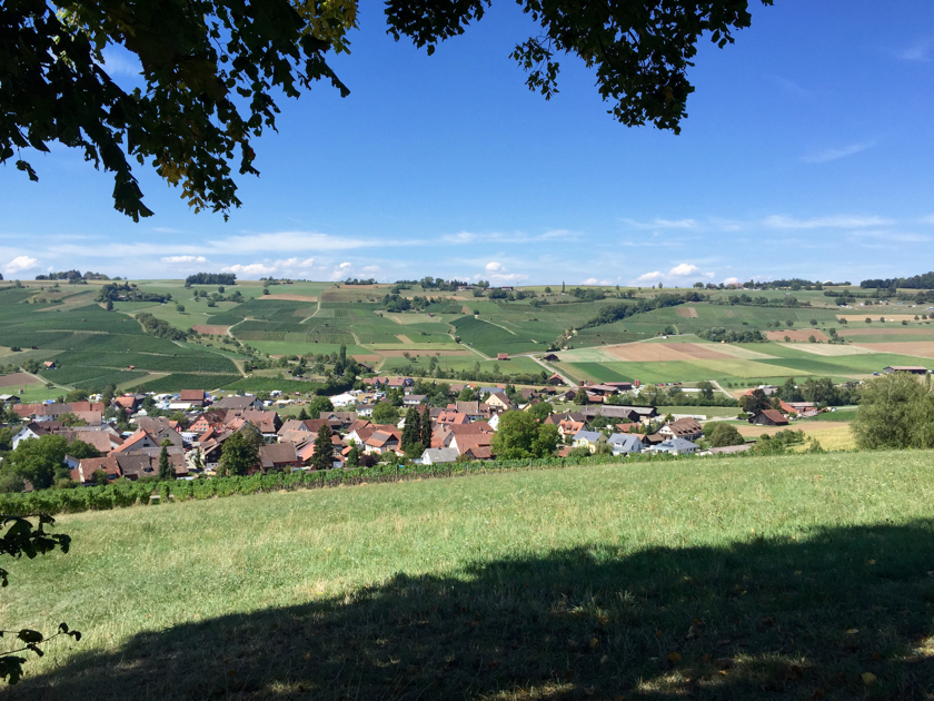 30. August 2015 Bergrennen Oberhallau