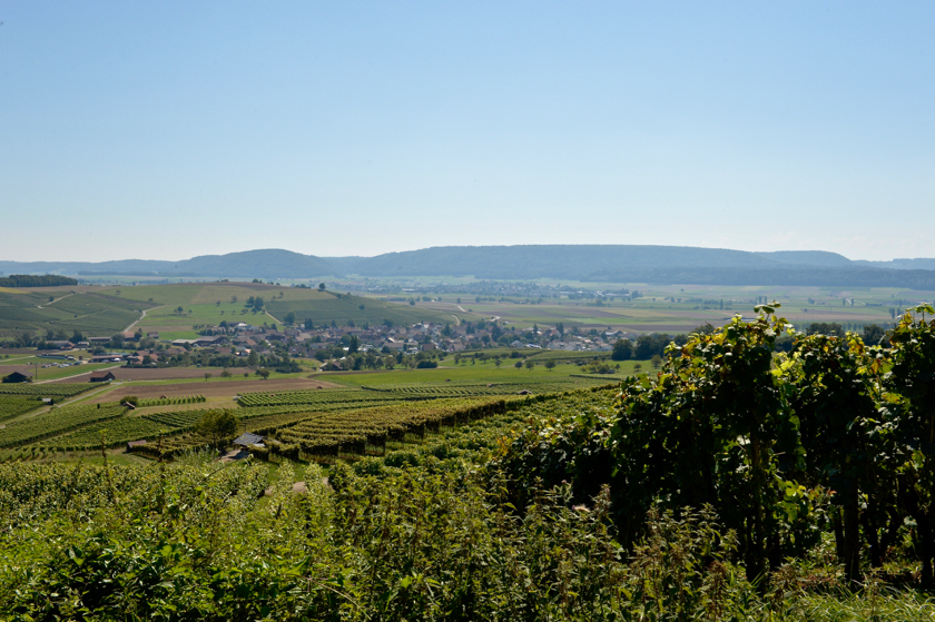 27. - 28. August 2016 - Bergrennen Oberhallau