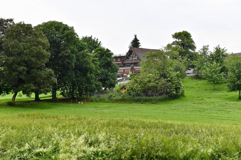 10.06.2018 - Bergrennen Hemberg