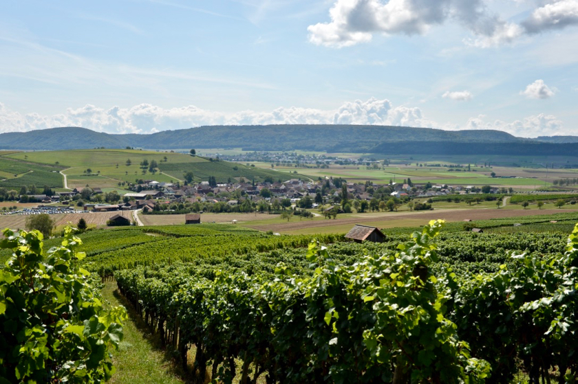 26.08.2018 - Bergrennen Oberhallau