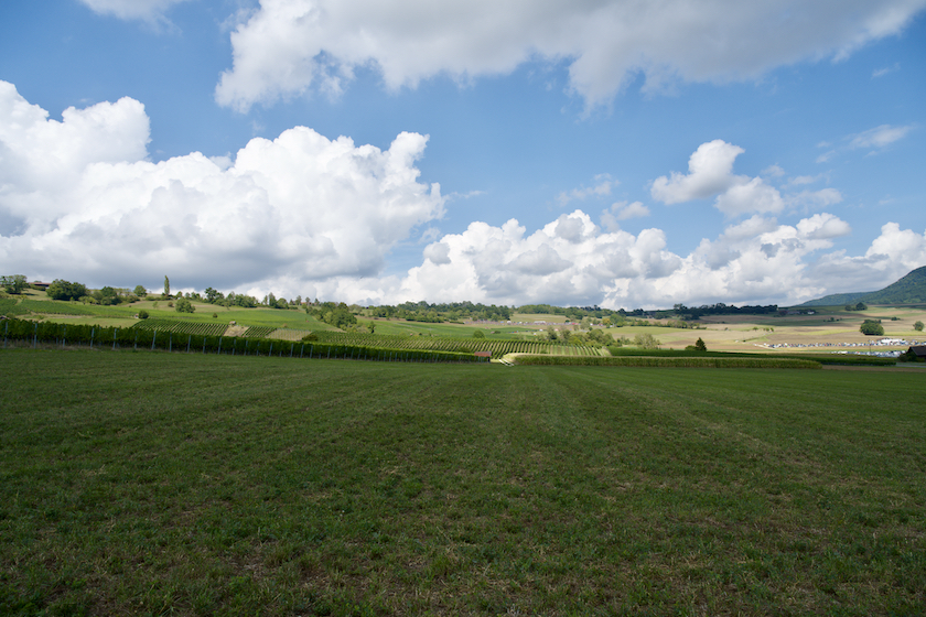 27. - 28. August 2022 - Bergrennen Oberhallau